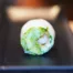 HY SUSHI Marrakech - AROMAKI Basilic