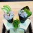 HY SUSHI Marrakech - TEMAKI Poisson blanc